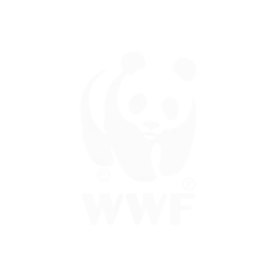 Logo for WWF (color)